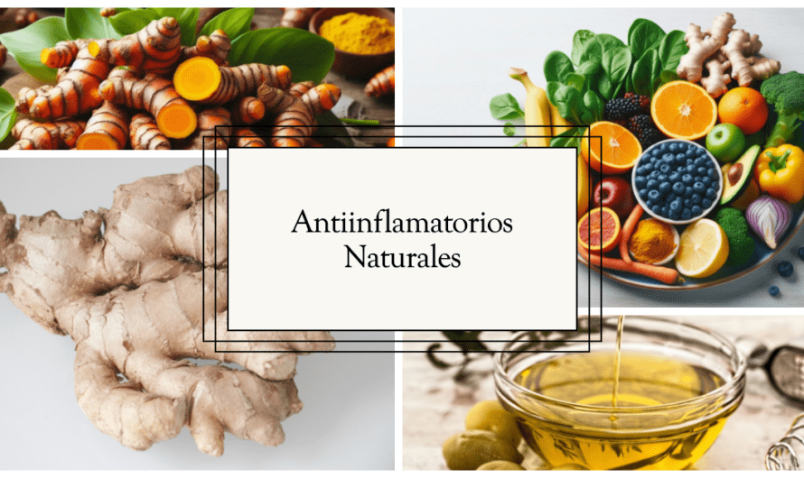 Antiinflamatorios Naturales